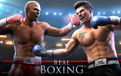 Real Boxing