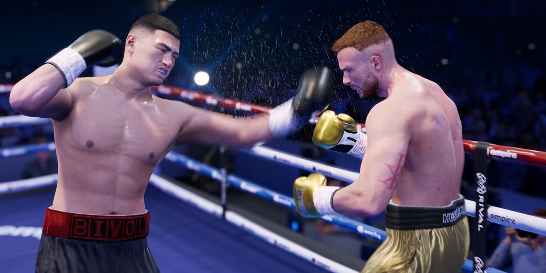 Undisputed System Requirements