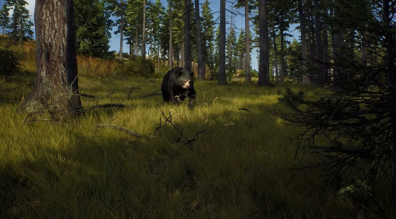 Way of the Hunter Free Steam Account