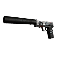 StatTrak™ USP-S | Stainless (Battle-Scarred)