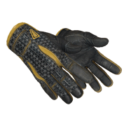 ★ Sport Gloves | Omega (Field-Tested)