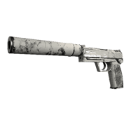 USP-S | Whiteout (Field-Tested)