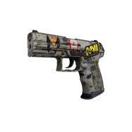P2000 | Granite Marbleized (Minimal Wear)