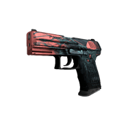 P2000 | Gnarled (Minimal Wear)